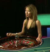 Go Wild Casino Live